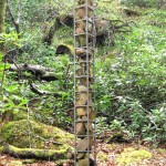 Forest sculpture-Lunga, 1995, galv steel, stones, 120" tall